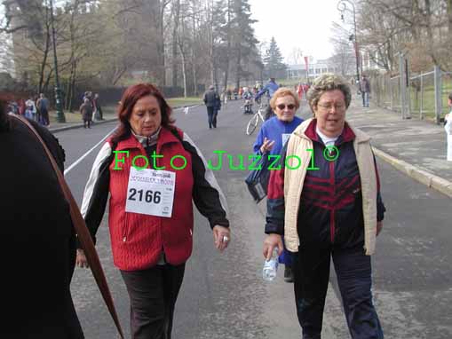P101014003