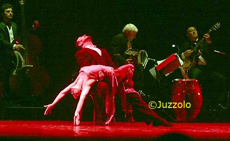 Photograph: Pasquale Juzzolino +393478806180